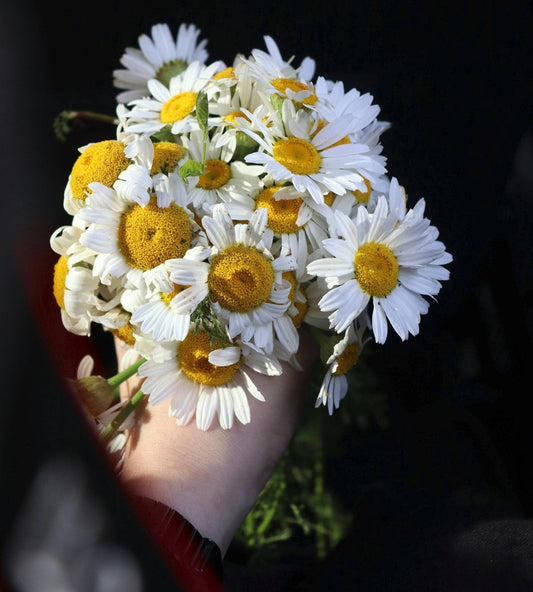 The Beauty of Thoughtful Surprises