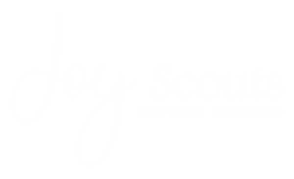 Joy Scouts